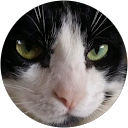 Carolyn Abrahan profile picture